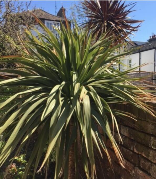 Seaside Flat In The Heart Of Herne Bay Bagian luar foto