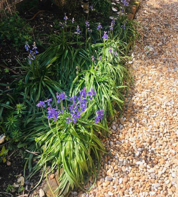 Seaside Flat In The Heart Of Herne Bay Bagian luar foto